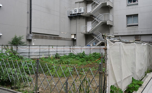 隣地の空き家・空き地に対する解決策